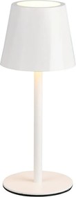 Trio DIAZ R55961131 Asztali lámpa 1x1.6w/led 2700-6500k 160lm ip44