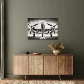 Üveg kép - Warbird (70x50 cm)