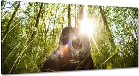 Festmények 115x55 Gitár