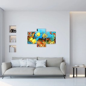Kép - színes korallzátony (90x60 cm)