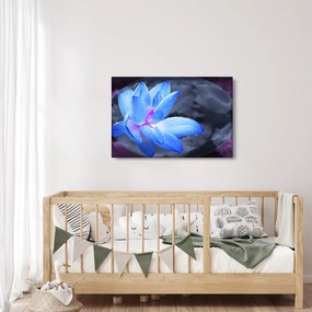 Egy virág képe részletesen (90x60 cm)