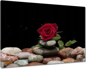 Vászonkép 100x70 Spa Wellness Relaxáció Víz