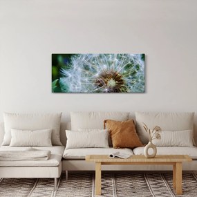 Elvirágzott pitypang képe (120x50 cm)