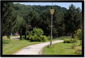 Poszterek keretben 60x40 Zöld park fákkal