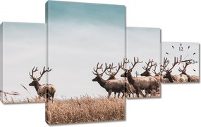 Falióra 130x80 Szarvasok kennelje