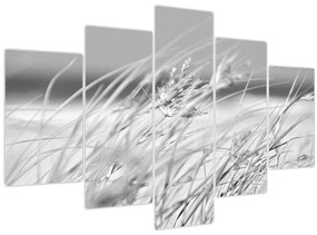 Kép - Strandfű (150x105 cm)