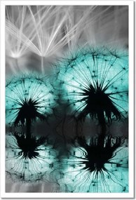 Poszterek keretben 40x60 Türkiz pitypangok