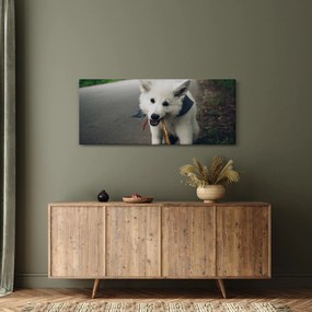 Egy fehér kutya képe (120x50 cm)