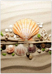 Poszterek 70x100 Kagylók Tengeri homok