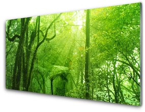 Üvegkép fák Természet 100x50 cm