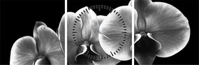 Egy orchidea virág képe (órával) (90x30 cm)