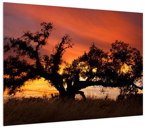 Romantikus fa képe (70x50 cm)