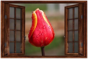 Poszterek 120x80 Piros-sárga tulipán