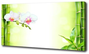 Egyedi vászonkép Orchidea és bambusz oc-82165838