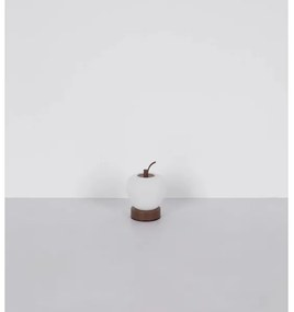 Globo 21011 - LED Dimmelhető asztali lámpa EVALINA LED/2W/3,7V