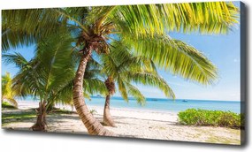 Vászonkép Trópusi tengerpart 100x70 cm