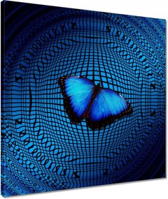 Vászonkép 50x50 Pillangó a medencében