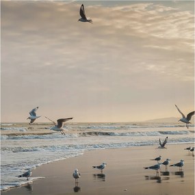 Fotótapéta Flizelin a Hálószobába Nappali Tengerparti nyugalom 250x250 Ragasztó