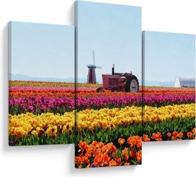 Tulipánfarm képe (90x60 cm)