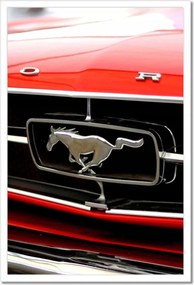 Poszterek keretben 40x60 Ford Mustang grill