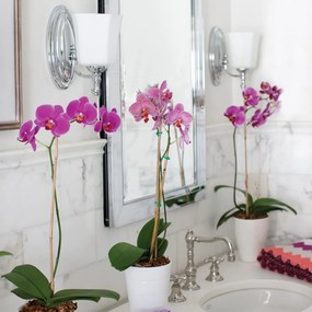 Hinkley Lighting SHELLY HK-SHELLY1-BATH Fali lámpa 1x3,5W/G9 320LM IP44
