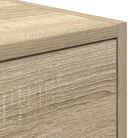 TV Szekrény Sonoma Tölgy 100x31x25,5 cm Mérnöki Fa