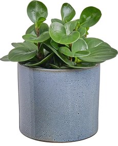 GLAZE kaspó, zöld Ø17cm