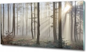 Fotó kép edzett üveg Hawaii tengerpart 100x70