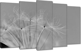 Vászonkép 100x60 Pitypang Virág Virágok