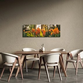 Narancssárga tulipán képe (órával) (90x30 cm)