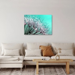 Kép - harmatos növény (70x50 cm)