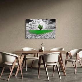 Kép - egy darab természet a városban (90x60 cm)