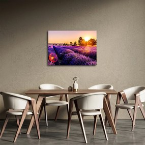 A levendula mező képe, Provence (70x50 cm)