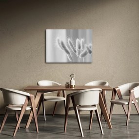 Kép - Nyuszi farok fű (70x50 cm)