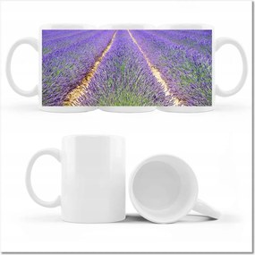 Levendula mintás bögre