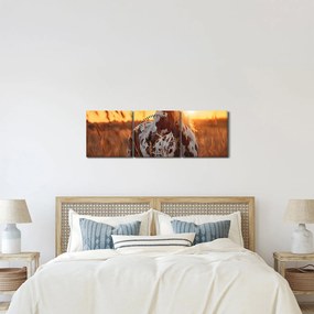 Kép - Ló naplementében (órával) (90x30 cm)