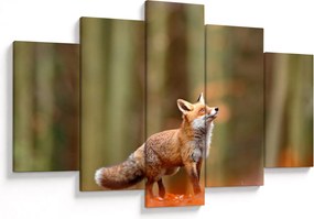 Kép - Róka (150x105 cm)