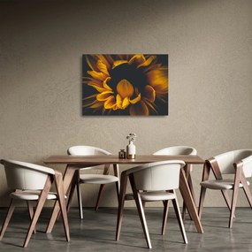 Üveg kép - Napraforgó fekete háttérben (70x50 cm)