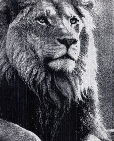 ANIMAL Oroszlán Strandtörölköző 165x90cm