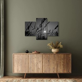 Kép - rét naplementével (90x60 cm)