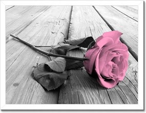 Poszterek keretben 40x30 Púderrózsa a deszkákon