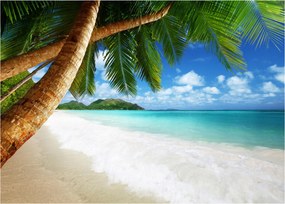 Fotótapéta Tengerpart Pálmafák A Nappali Hálószobájába Fali Tapéta 300x210