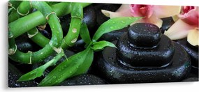 Kép - Kövek és orchideák (120x50 cm)