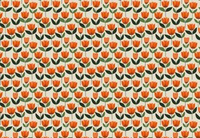 Fotótapéta - Minta tulipánokkal (147x102 cm)