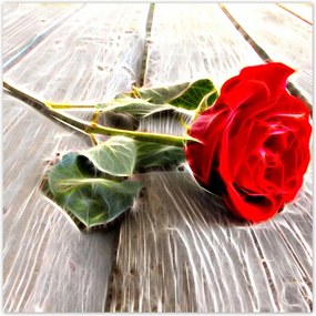 Poszterek 70x70 Kozmikus rózsa