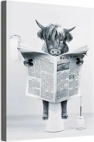 Vászonkép poszter Szarvasmarha a WC-n Wc fali dekoráció 30x40 cm