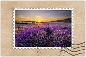 Poszterek 90x60 Levendula tájkép Nap