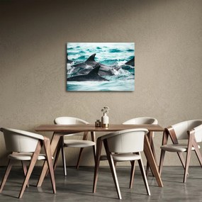 Kép - Delfinek az óceánban (70x50 cm)