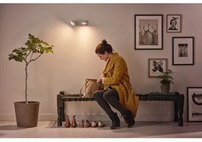 Philips 53192/48/P0 - LED Spotlámpa MILLENNIUM 2xLED/4,5W/230V