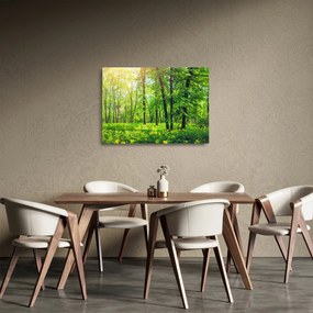 Kép - Tavaszi lomberdő (üvegen) (70x50 cm)